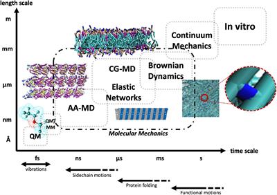 When Stiffness Matters: Mechanosensing in Heart Development and Disease